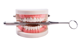 Пародонтология